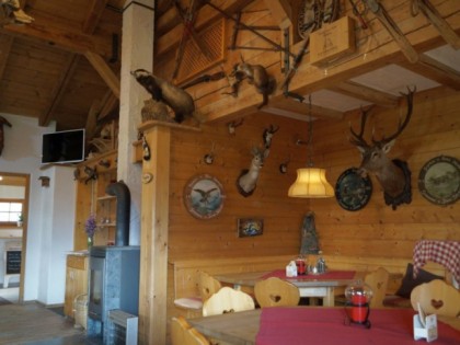 Foto: Wurzelh&amp;uuml;tte